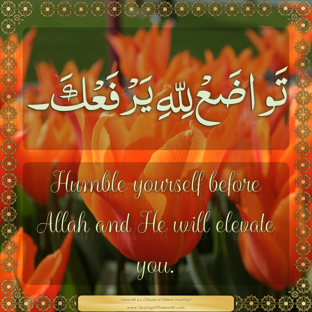 Humble yourself before Allah and He will elevate you.